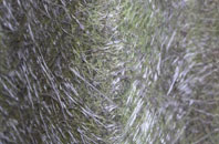 Winsdon Hill fibreglass roof work